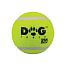 Dogtrace squeaky tennis ball - set of 4