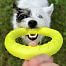 Interactive throwing ring for dogs, 2 sizes