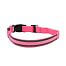 Woven LED light-up collar for dogs