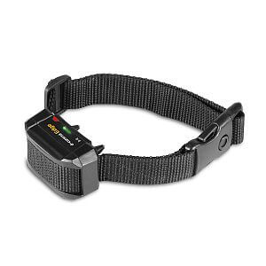 The d-control Edge receiver with woven belt and adjustable length for doggie comfort