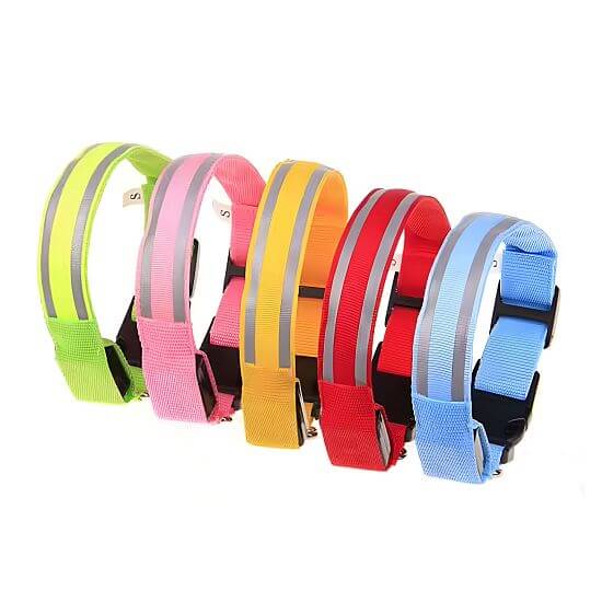 Luminous collars for dogs best sale